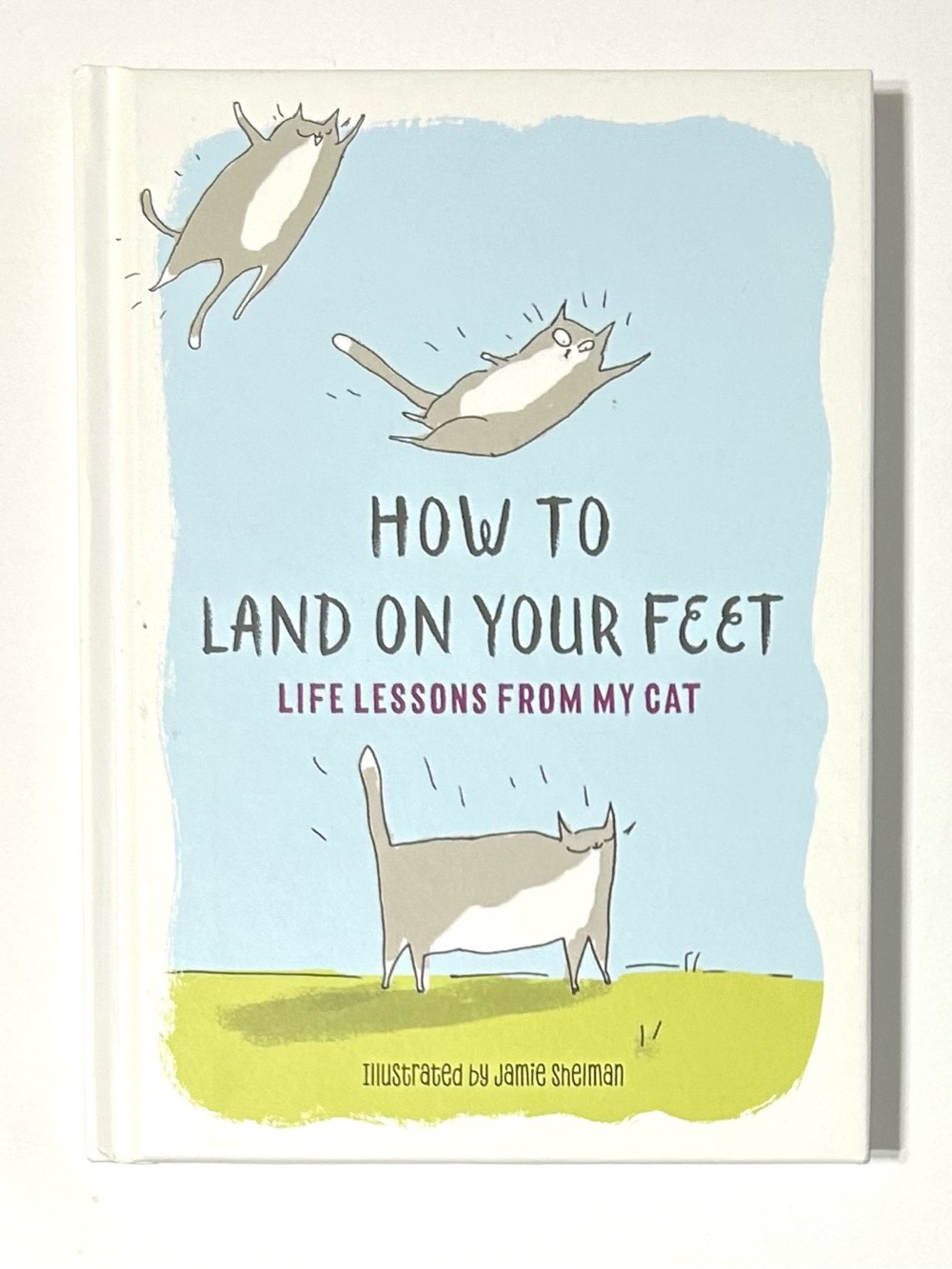 4/$20 How To Land On Your Feet: Life Lessons From My Cat Hardcover Book